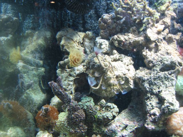 IMG_2659.JPG