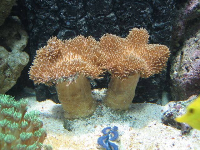 IMG_2655.JPG