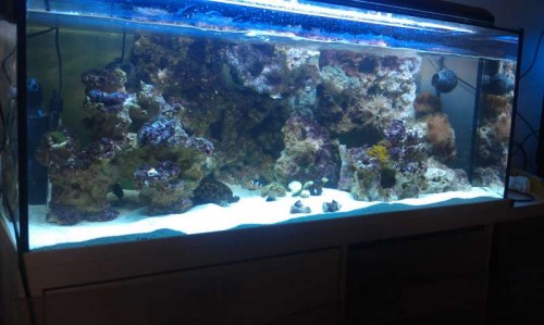 IMAG0467.jpg