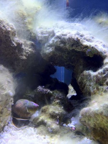 Photo 16-09-12 20.25.30.jpg