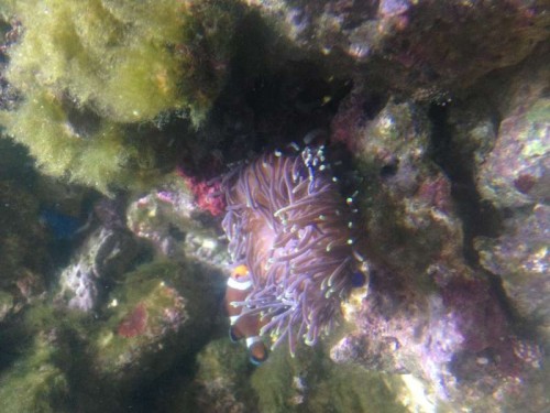 Photo 19-09-12 22.09.17.jpg