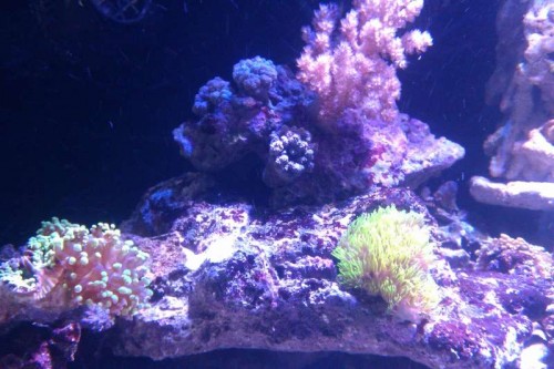 IMAG0042.jpg