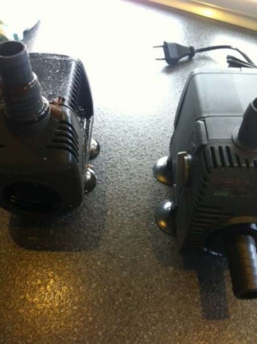 foto 3.JPG