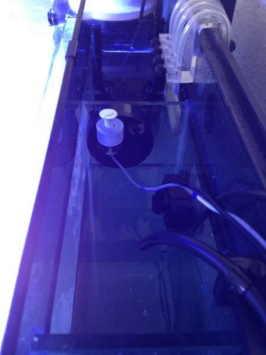 Tunze 3155 osmolator