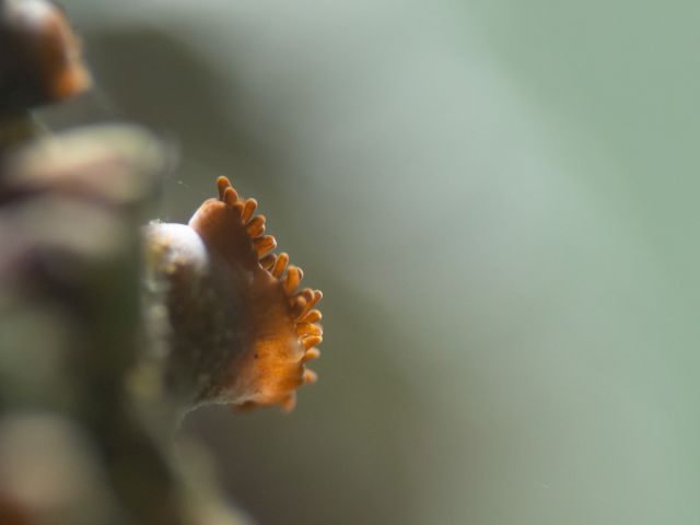 CRW_5170.jpg
