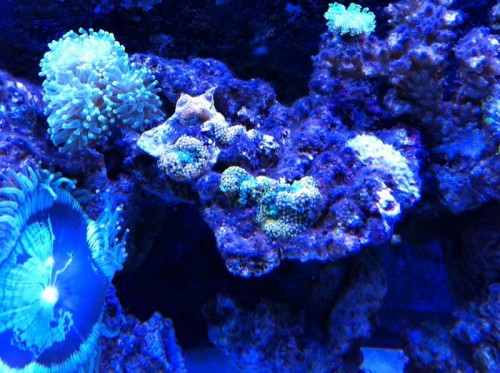 IMG_0445.jpg