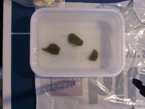 4.JPG (26.7 KiB) Vist 2344 gange Tre fine fragmenter. Jeg har prioriteret at have flere end et øje på hver fragment.