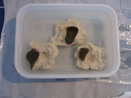 5.JPG (26.49 KiB) Vist 2335 gange Limet på fragmentsten med blød, hurtigtørrende koralklæber.