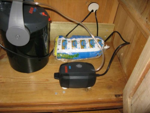 Eheim air pump 100.JPG