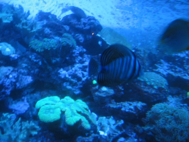 IMG_2794.jpg