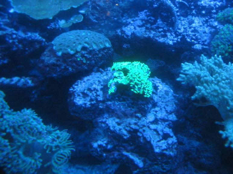 IMG_2789.jpg