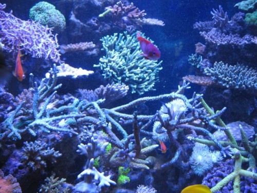 IMG_4374.jpg