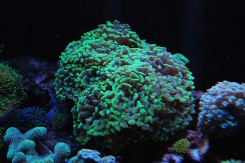 DSC_0374.JPG
