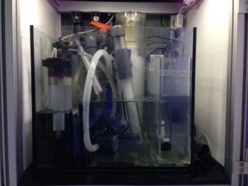 Sump 2.JPG