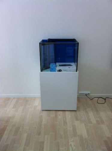 foto1.JPG