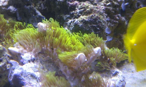 IMAG0600.jpg