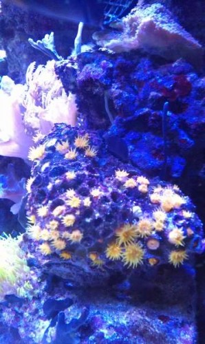 IMAG0100.jpg