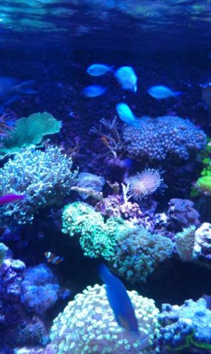 IMAG0125.jpg