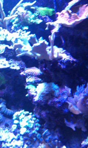 IMAG0119.jpg