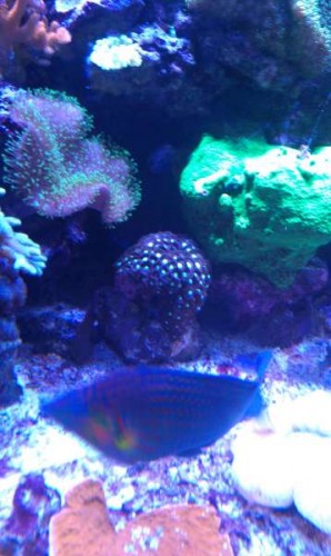 IMAG0115.jpg