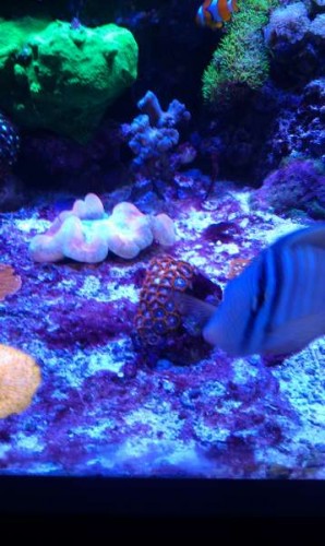 IMAG0114.jpg