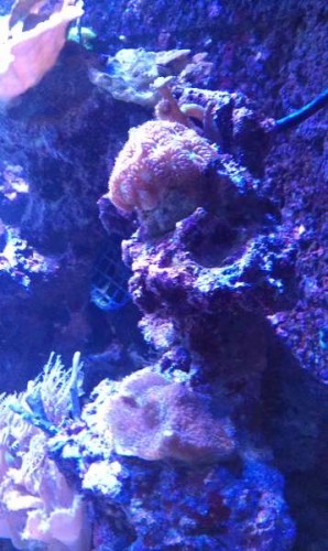 IMAG0110.jpg