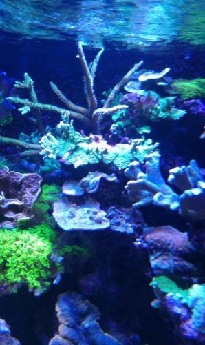 IMAG0108.jpg
