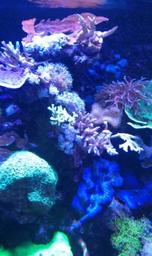 IMAG0103.jpg