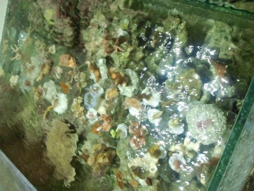 2012-09-17 21.09.25.jpg