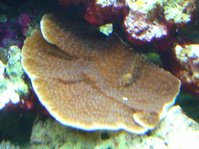 DSC01030.JPG
