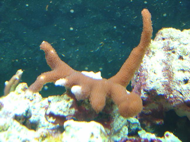 DSC01031.JPG