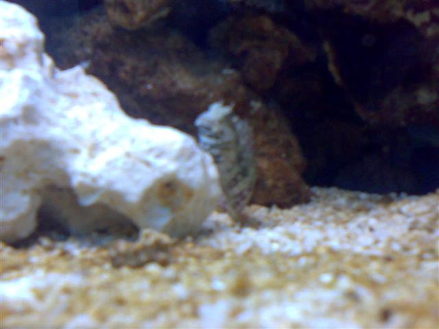 05032007036 (Small).jpg