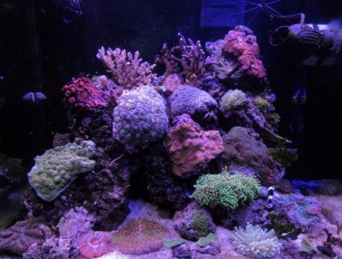 fts.JPG