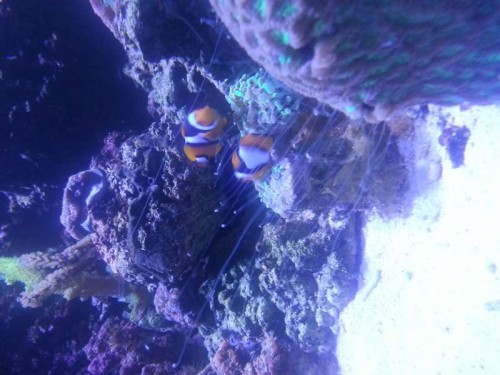 20121015_211252.jpg