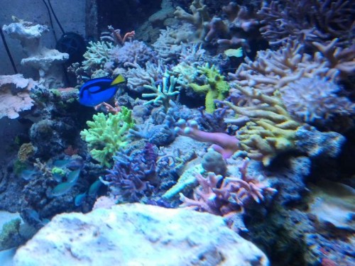 2012-10-16 19.15.37.jpg
