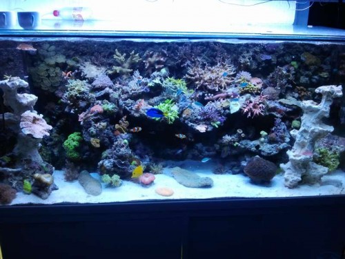 2012-10-16 19.10.35.jpg