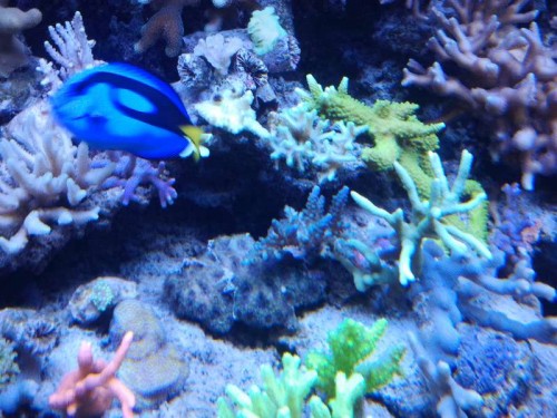 2012-10-16 19.17.36.jpg