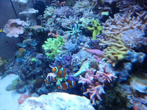 2012-10-16 19.16.53.jpg