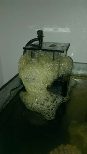 IMAG0114.jpg
