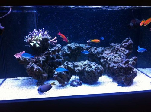 image.jpg (54.48 KiB) Vist 1406 gange Dagslys