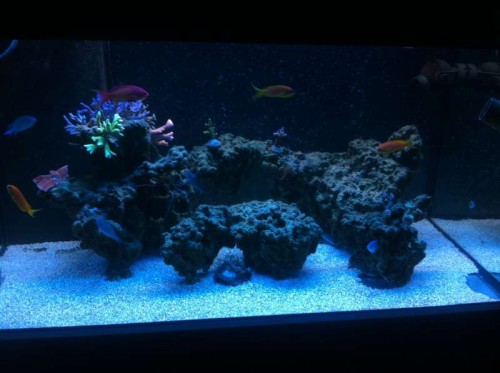 image.jpg (42.19 KiB) Vist 1406 gange Aften belysning