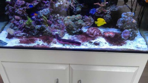 171.jpg (50.77 KiB) Vist 10142 gange 1