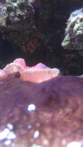 174.jpg (18.5 KiB) Vist 10278 gange 2