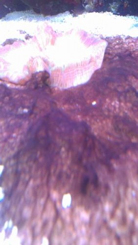 175.jpg (18.48 KiB) Vist 10142 gange 3