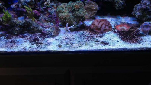 176.jpg (53.01 KiB) Vist 10278 gange 4