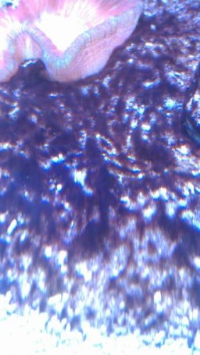 178.jpg (27.95 KiB) Vist 10278 gange 5