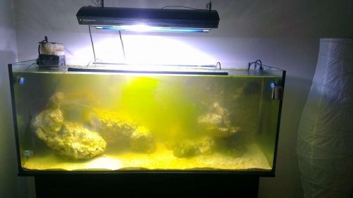 IMAG0116.jpg