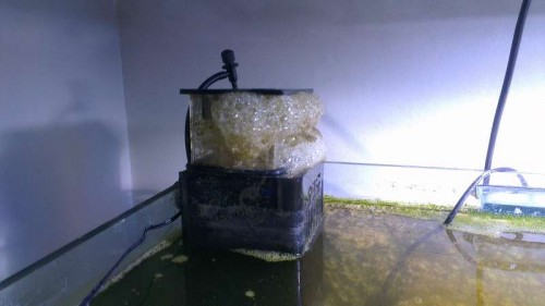 IMAG0117.jpg