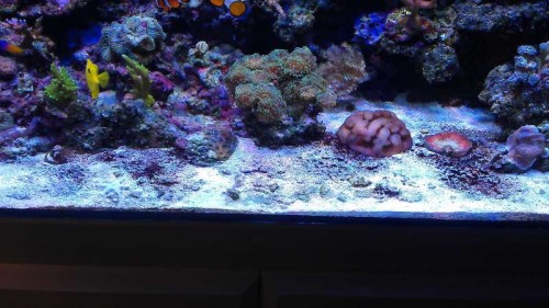 180.jpg (62.13 KiB) Vist 10195 gange 1