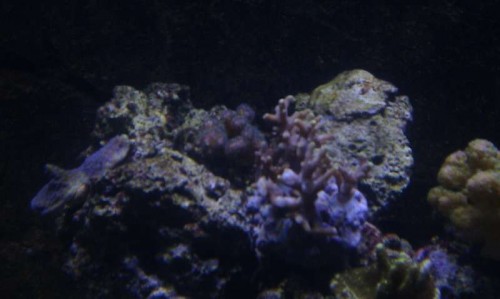 IMAG0633.jpg